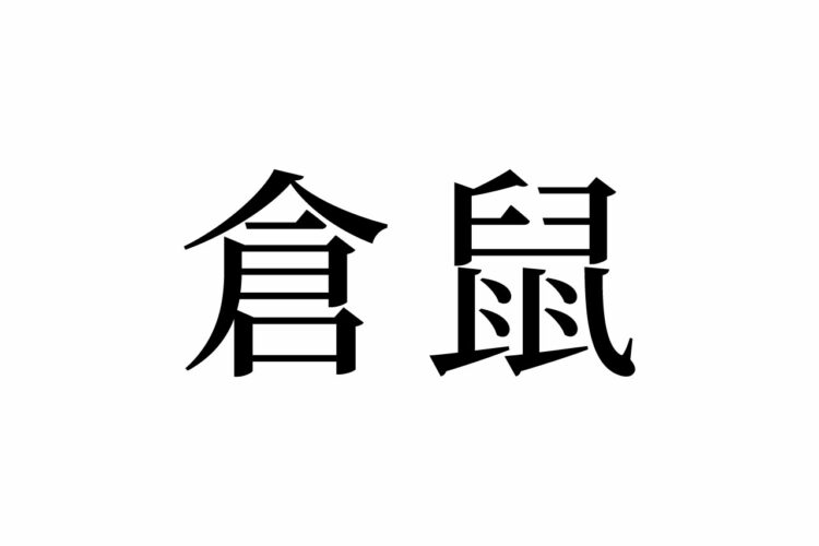 【読めたらスゴイ！】「倉鼠」とは一体何のこと！？ペットとしても大人気！？この漢字、あなたは読めますか？