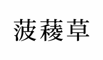 【読めたらスゴイ!】「菠薐草」とは一体何のこと!?「草」の名前なの!?この漢字、あなたは読めますか?