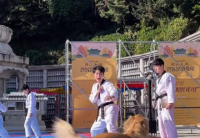 見事なテコンドーの演舞。だけど数々の技よりも気になり視線が向くのは・・・【海外・動画】