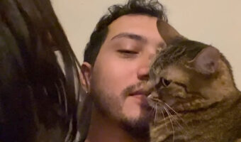 ママさんに嫉妬?パパさんの体の上でくつろぐ猫。そこにママさんがやってくると・・!!【海外・動画】