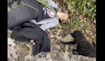 斜面で足を滑らせた男性にみんな突進！そばに寄ったり体に乗ったり愛犬たちは自由です！！【海外・動画】