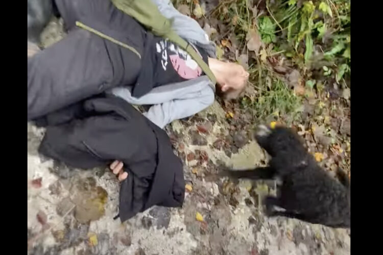 斜面で足を滑らせた男性にみんな突進！そばに寄ったり体に乗ったり愛犬たちは自由です！！【海外・動画】