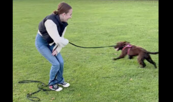 元気いっぱいの子犬。右に左にと動き回るので・・、リードが飼い主さんの足に絡まっちゃいました!!【海外・動画】