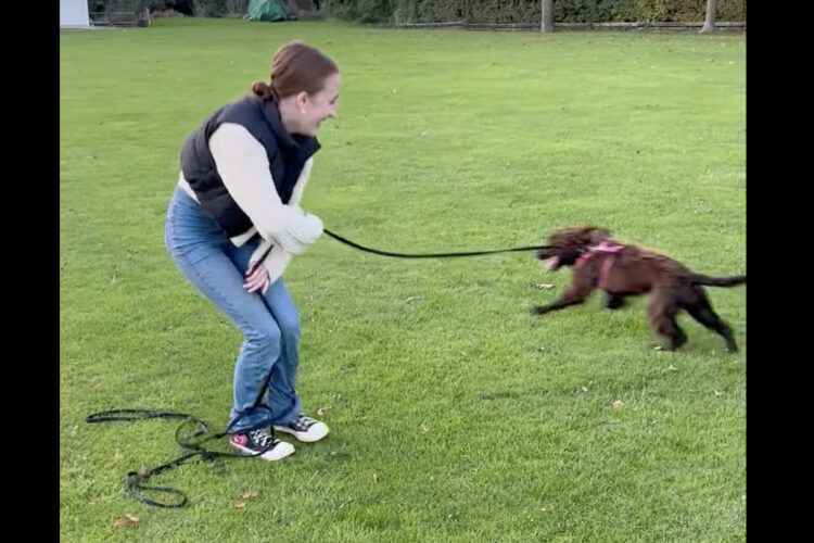 元気いっぱいの子犬。右に左にと動き回るので・・、リードが飼い主さんの足に絡まっちゃいました！！【海外・動画】