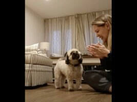 拍手喝采されて嬉しくなった！？愛犬が『かわいい特技』を披露してくれました！！【海外・動画】