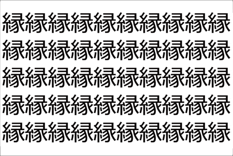 【脳トレ】「縁」の中に紛れて1つ違う文字がある！？あなたは何秒で探し出せるかな？？【違う文字を探せ！】
