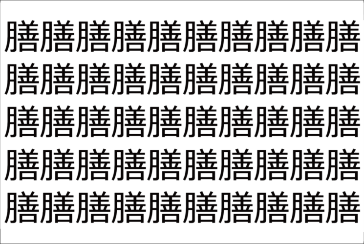 【脳トレ】「膳」の中に紛れて1つ違う文字がある！？あなたは何秒で探し出せるかな？？【違う文字を探せ！】