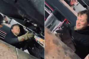 大変！車の中に子猫が潜り込んじゃった！！整備士さんが優しく助け出します