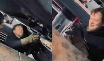 大変!車の中に子猫が潜り込んじゃった!!整備士さんが優しく助け出します
