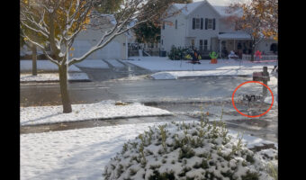 ダルメシアンが2頭おさんぽ中？いや3頭？！？！どうやら、ハロウィンの仮装だったみたい【アメリカ・動画】