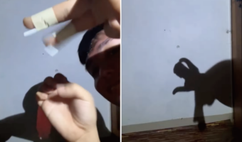 まるで生きているみたい!両手を使って演じられる影絵のクオリティがスゴい!!【海外・動画】
