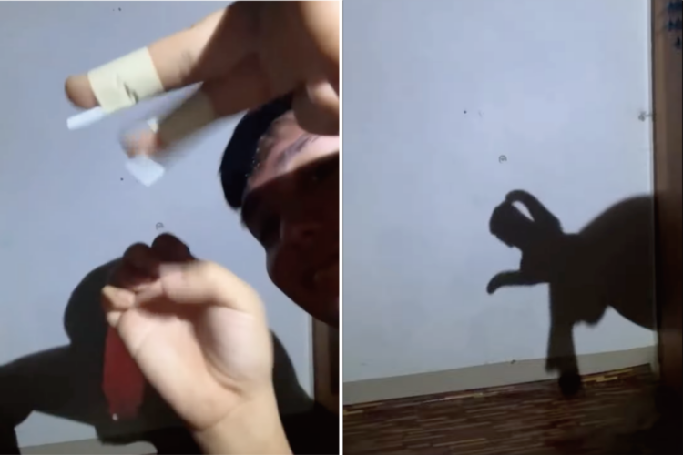 まるで生きているみたい！両手を使って演じられる影絵のクオリティがスゴい！！【海外・動画】