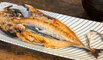 「こんなにアジの開き食べにくいことある?」テーブルの下から豆柴がひょっこり!!顔を出す姿がかわいすぎると話題に
