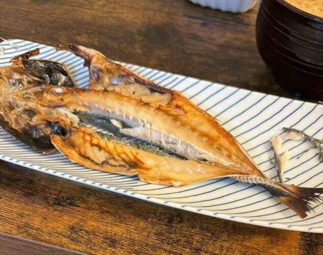 「こんなにアジの開き食べにくいことある？」テーブルの下から豆柴がひょっこり！！顔を出す姿がかわいすぎると話題に