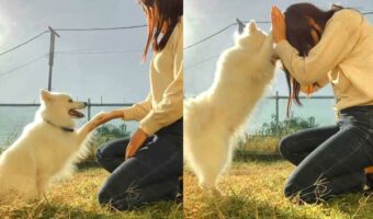 愛犬との『ふたりだけの特別なおまじない』に反響!「見てるこちらもほっこり。愛に包まれました」