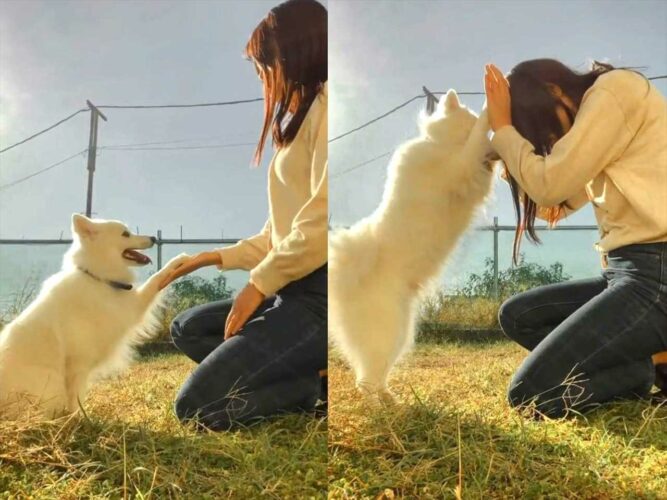 愛犬との『ふたりだけの特別なおまじない』に反響！「見てるこちらもほっこり。愛に包まれました」
