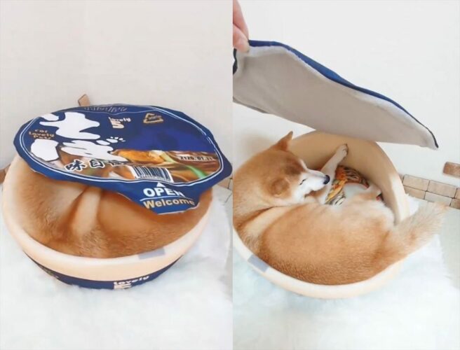 お揚げが動く！？柴犬がカップそば型のベッドでくつろぐ姿が話題に！「おいしそうでかわいいお揚げ」