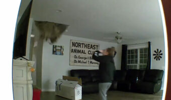 リビングでくつろいでいたらビックリ！天井からなんと・・！？！？