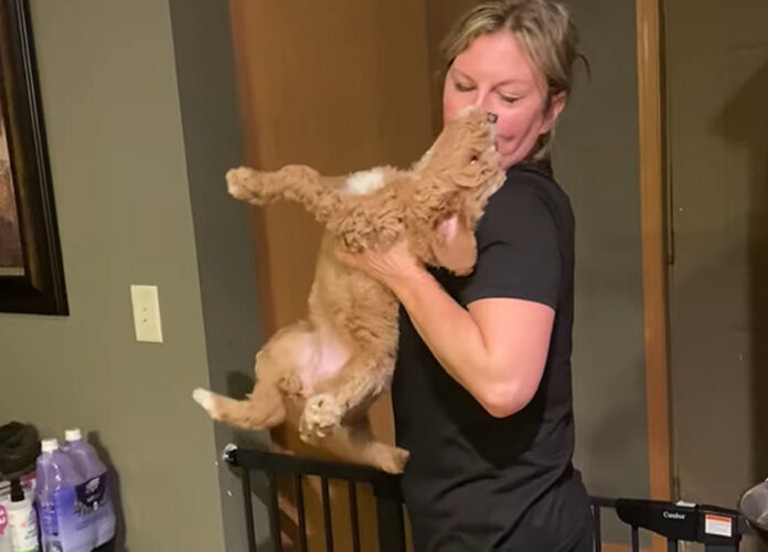 元気な子犬たちのねんねの時間。だっこされると・・、キスしてもらいみんなベッドへ！！