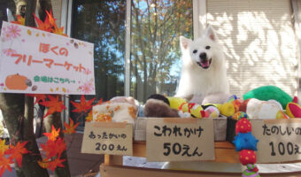 たくさん買ってあげたくなっちゃう！愛犬目線のフリーマーケットに購入希望者殺到！？