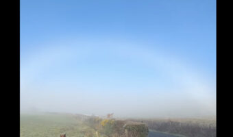 霧が生んだ絶景。愛犬の散歩に出かけたら目前に広がったのは・・、珍しい自然現象「白虹」です！！【海外・動画】