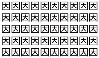 【脳トレ】「因」の中に紛れて1つ違う文字がある!?あなたは何秒で探し出せるかな??【違う文字を探せ!】