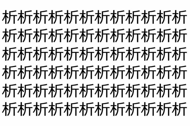 【脳トレ】「析」の中に紛れて1つ違う文字がある！？あなたは何秒で探し出せるかな？？【違う文字を探せ！】
