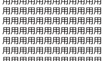 【脳トレ】「用」の中に紛れて1つ違う文字がある！？あなたは何秒で探し出せるかな？？【違う文字を探せ！】