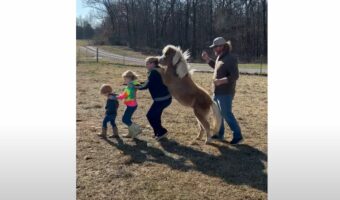 仲良く踊って遊んでいる子供たち。だけどその中に・・ミニチュアホースもまざってる！？！？【アメリカ・動画】