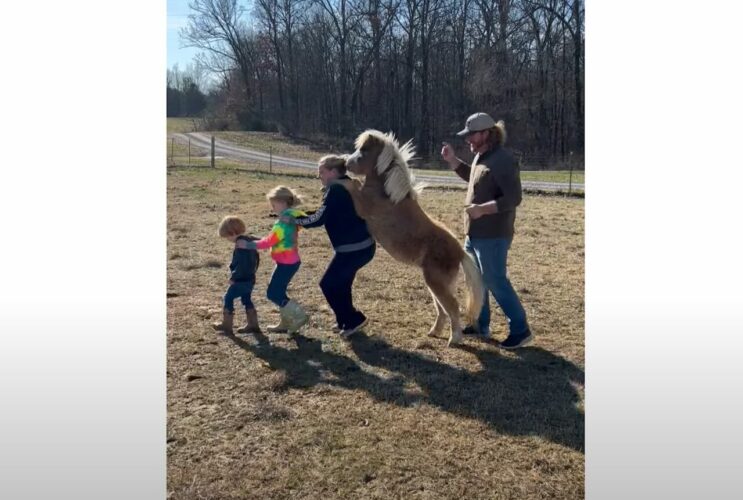 仲良く踊って遊んでいる子供たち。だけどその中に・・ミニチュアホースもまざってる！？！？【アメリカ・動画】