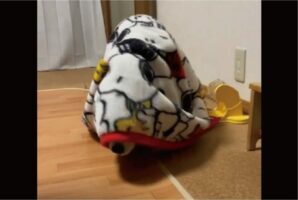 毛布をかぶって部屋をウロウロ。深夜2時に徘徊するビーグル犬がかわいい！！