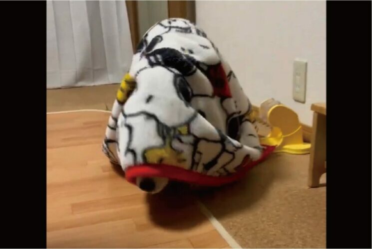 毛布をかぶって部屋をウロウロ。深夜2時に徘徊するビーグル犬がかわいい！！