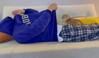 子猫が元気にぴょん!飼い主さんのパーカーで作ったトンネルに飛び込んだ!!