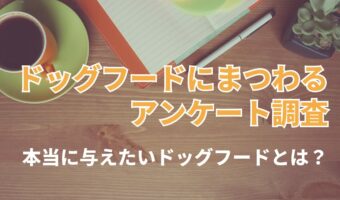 できるなら『市販の手作りドッグフード』を選びたいと思っているも飼い主も多いけれど・・。本当に与えたいドッグフードは?【2023年アンケート調査】