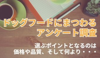 アンケートから見る『ドッグフードの選び方』。ポイントとなるのは「価格・仕様」「原材料」そしてなにより・・【2023年アンケート調査】