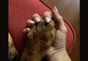 愛犬とラブラブ？恋人繋ぎをしてぎゅっとおててをぎゅっとしたら・・、握り返してくれました！！【海外・動画】