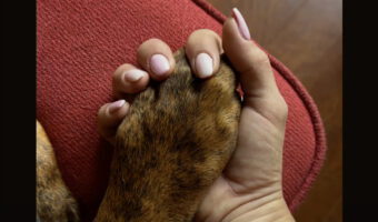 愛犬とラブラブ？恋人繋ぎをしてぎゅっとおててをぎゅっとしたら・・、握り返してくれました！！【海外・動画】