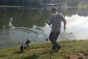 タモ網を持った釣り人が転んだら・・、想定外のものが網に入った！！