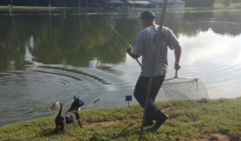 タモ網を持った釣り人が転んだら・・、想定外のものが網に入った!!