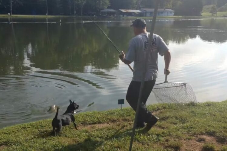タモ網を持った釣り人が転んだら・・、想定外のものが網に入った！！