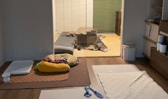 どこに犬がいるのかわかりますか?部屋の中に潜んでいるコーギーを探せ!?