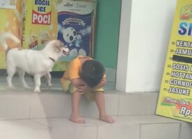 優しい犬の行動に感動！輪に入れず一人悲しんでいた男の子のそばにいた犬のおかげで、男の子は立ち上がることができました！！