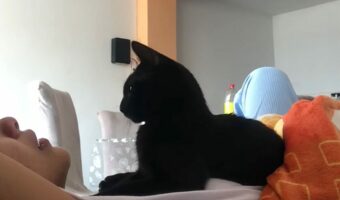 飼い主さんを慰める優しい猫。不安で泣いているところを笑顔に変えてくれた行動にほっこり【海外・動画】