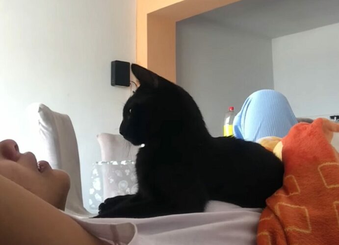 飼い主さんを慰める優しい猫。不安で泣いているところを笑顔に変えてくれた行動にほっこり【海外・動画】