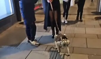 女性が犬を散歩させていると思ったら・・。リードの先にいるのはロボット犬！？【海外・動画】