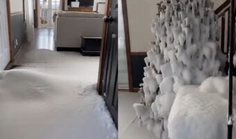 一体何が!?2日ぶりに帰宅したら家の中が大変なことに!!家中すっかり真っ白になっていたのです!!【海外・動画】