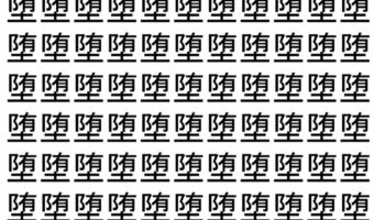 【脳トレ】「堕」の中に紛れて1つ違う文字がある！？あなたは何秒で探し出せるかな？？【違う文字を探せ！】