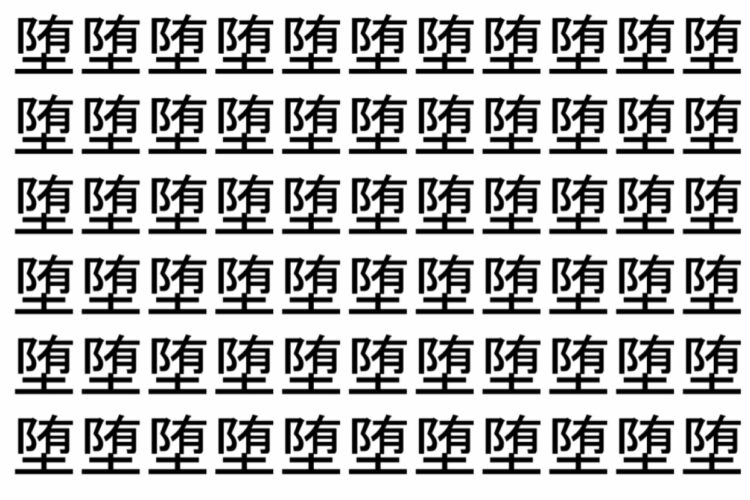 【脳トレ】「堕」の中に紛れて1つ違う文字がある！？あなたは何秒で探し出せるかな？？【違う文字を探せ！】