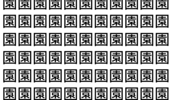 【脳トレ】「園」の中に紛れて1つ違う文字がある!?あなたは何秒で探し出せるかな??【違う文字を探せ!】