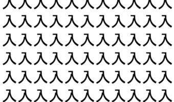 【脳トレ】「入」の中に紛れて1つ違う文字がある!?あなたは何秒で探し出せるかな??【違う文字を探せ!】